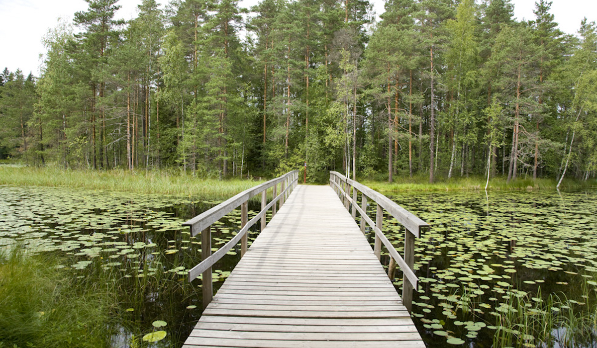 پارک ملی نووکسیو