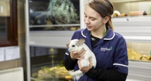 دوره کارآفرین روستایی و متصدی حیوانات در فنلاند